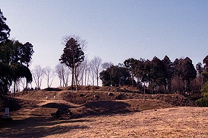 杉山城址大手口