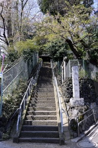 ��t��Ձ@�Ï���