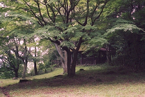 大聖寺城本丸跡