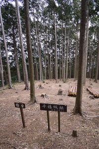 畟s