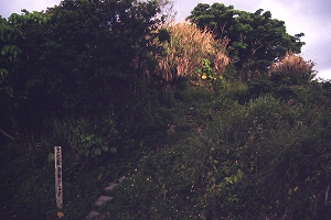 長嶺城跡
