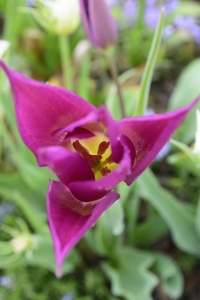 �t�̉� ����101