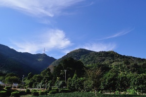 小島陣屋の背後
