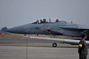 F-15DJ