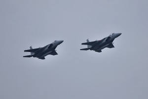 F-15J  F-15DJ