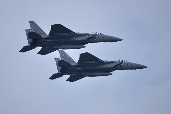 F-15J  F-15DJ