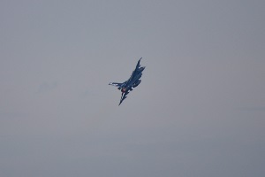 F-2A