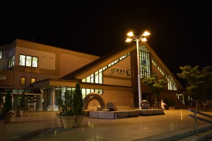 夜の新津駅