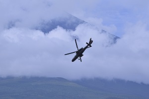 OH-1̋@
