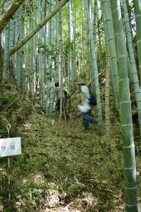 城内見学