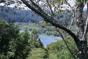 天竜川遠望
