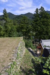 石垣の上面