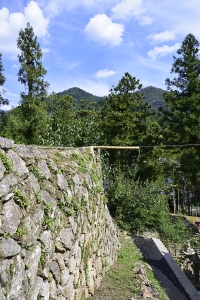 石垣側面