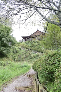 田峯城跡 切岸