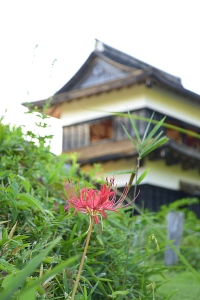 真弓山城の秋