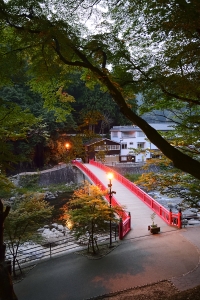 宵闇の待月橋