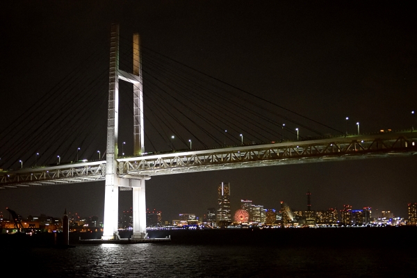 The YOKOHAMA!