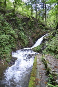 日光白糸滝