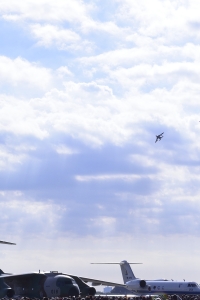 T-4 sJn