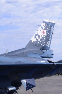 F-2A スペシャルマーキング