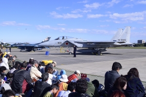 F-2A & F-15J