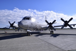 P-3Cΐ@
