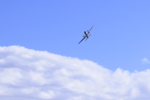 YS-11FC̃tCpX