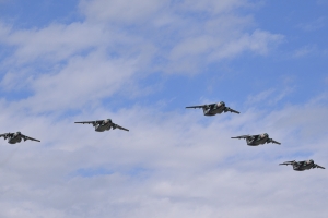 C-1 編隊飛行