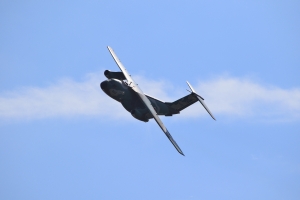 C-1