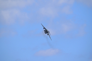 C-1