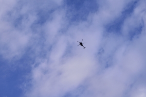 OH-6D