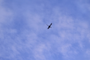 OH-1