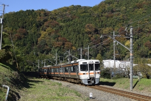 試し撮りの313系