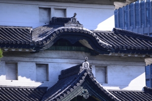 ���ۊ��Ɍ䒍�ځI