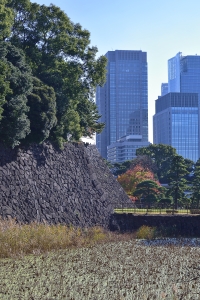 �@�r���z���̐Ί_�I