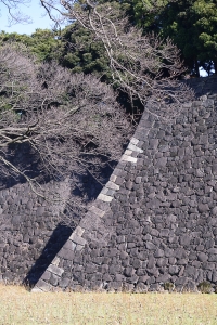 石垣!!!