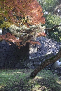 木漏れ日の色合い