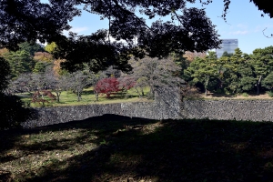 乾通りを上から見る