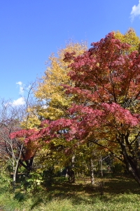 �]�ˏ��m�ۂ̍g�t