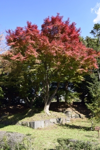 �]�ˏ��m�ۂ̍g�t