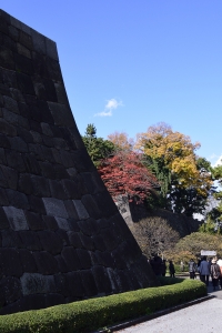 江戸城二ノ丸の紅葉