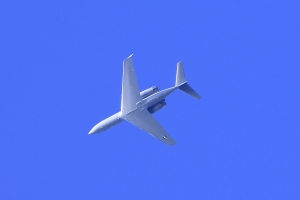 �A�����J�C�����@C-20 �K���t�X�g���[��IV