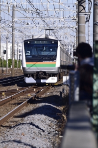 E233�n�@���C����