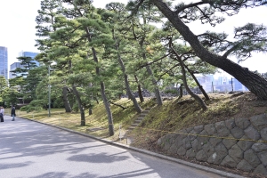 ���������̓y��