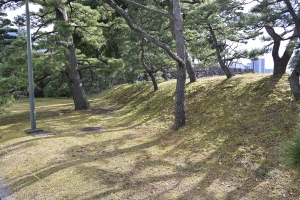 ���������̓y��