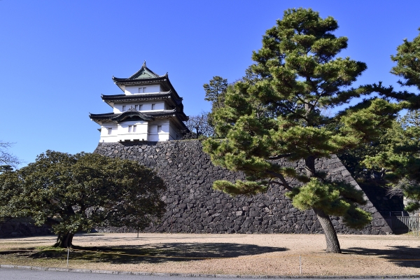 ���̖؂ƕx�m���E