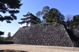 �x�m���E�U��Ԃ�i���j