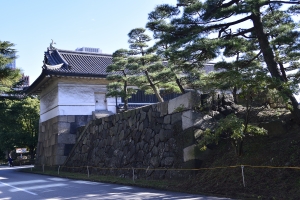 �j�[��ւ̓�