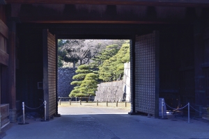 ����z���̕��i