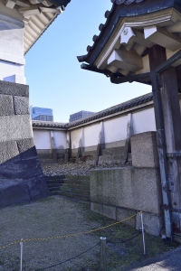 �T�����c���Ȃ̂��H